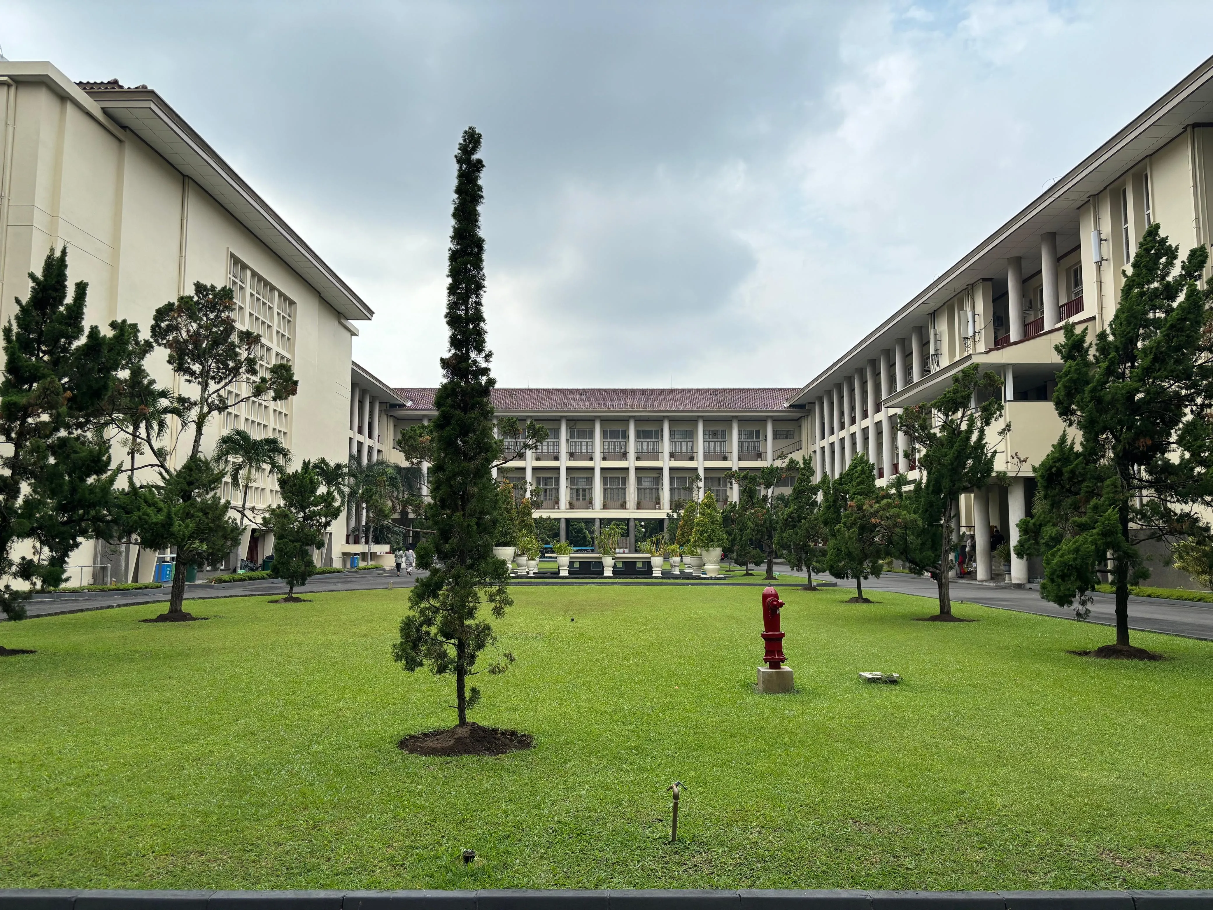 Banner image of the blog